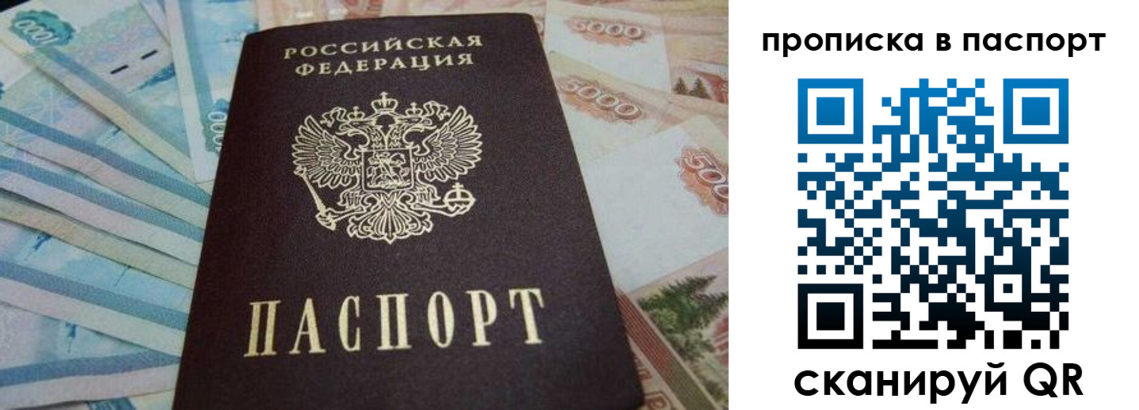временная регистрация законно в Димитровграде