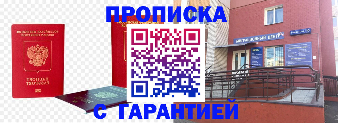 где прописаться в Димитровграде